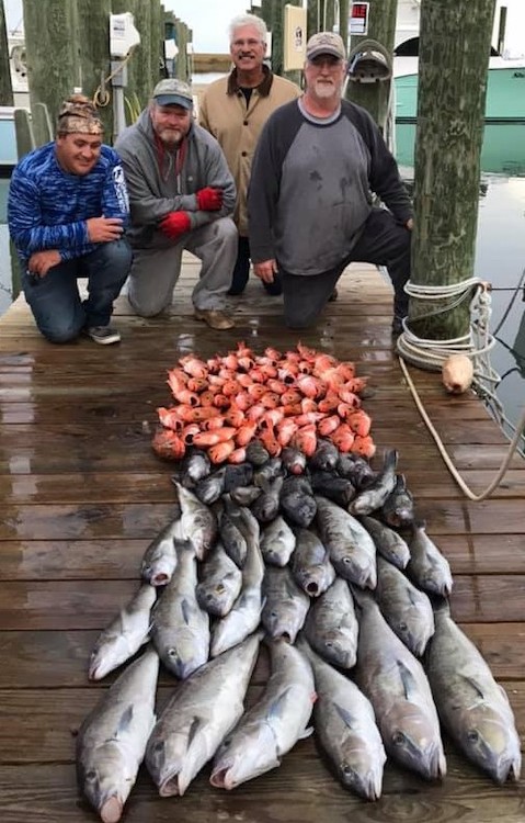 Fishing Report for 11.1.19