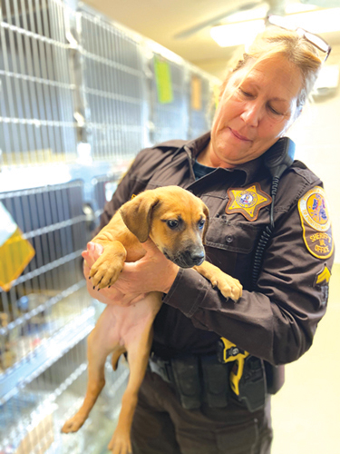 Animal Control Finds Success Placing Animals by Cooperating With Rescue Groups