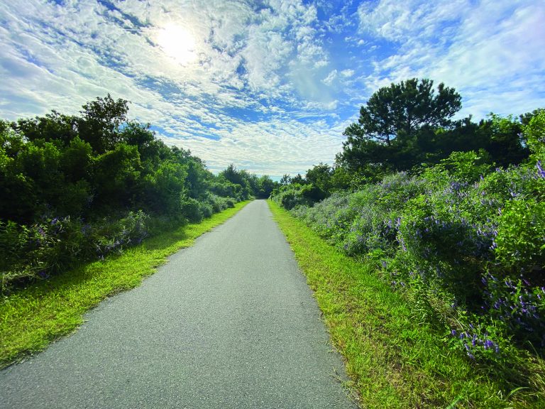 Eastern Shore Rail Trail Working Group Looking for Partners