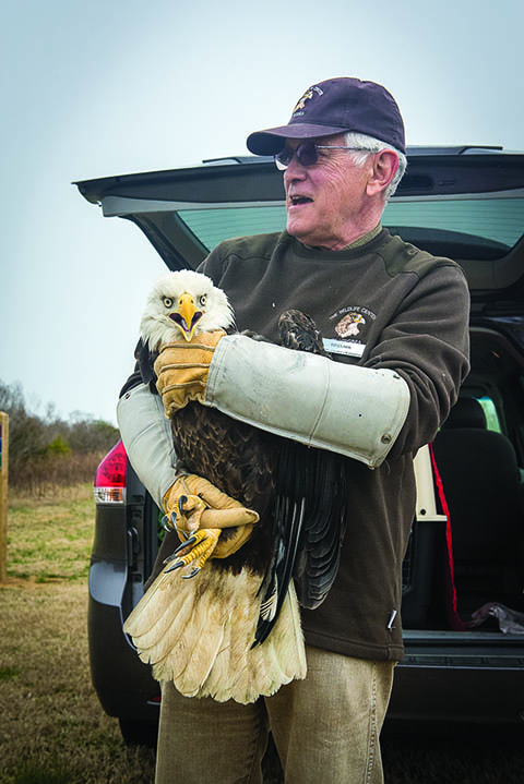 Eastern Shore Wildlife Rescue Team Reunites for Eagle Release