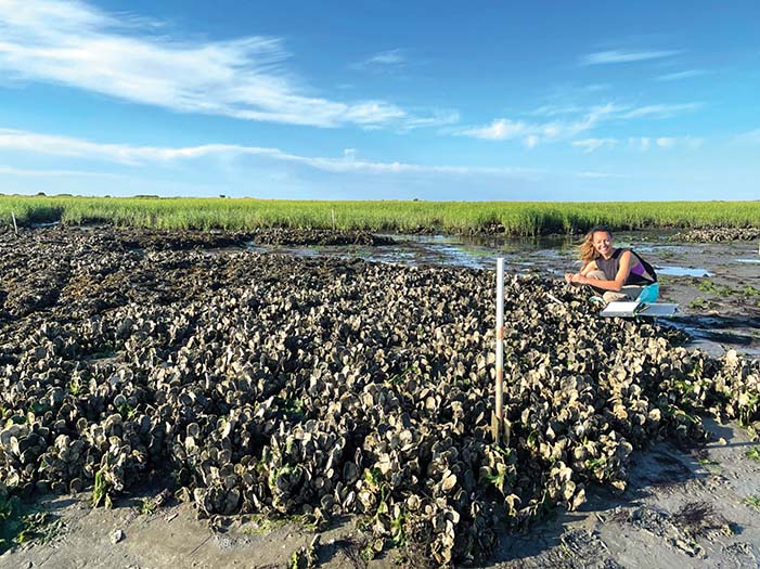 UVa Ph.D. Student Helps Find the ‘Sweet Spot’ for Oysters To Thrive