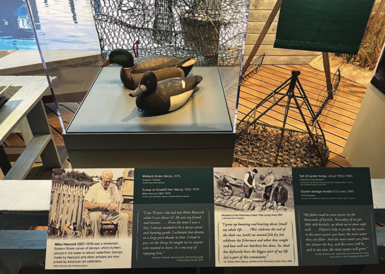 Shore Artifacts Featured at Newly Expanded Virginia Museum of History & Culture