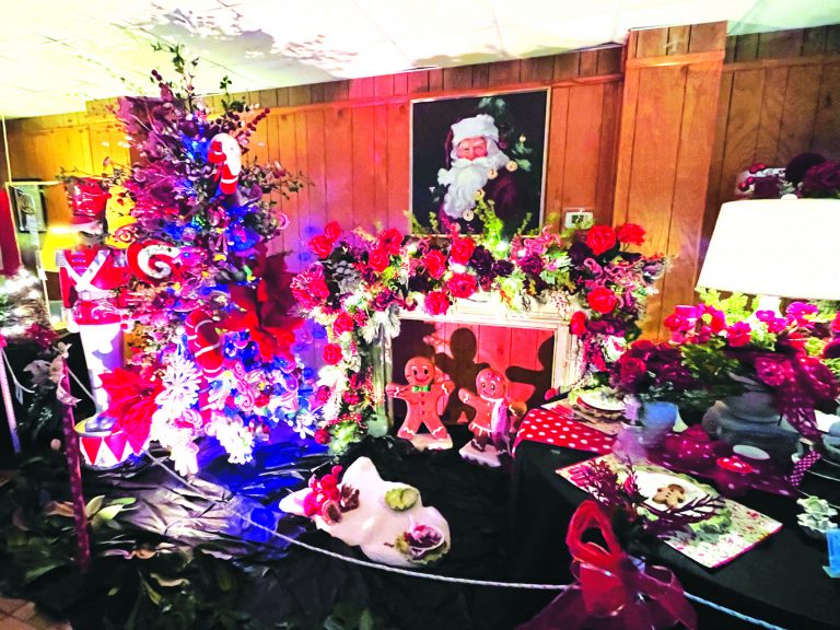Parksley Church Hosts Christmas in July Event