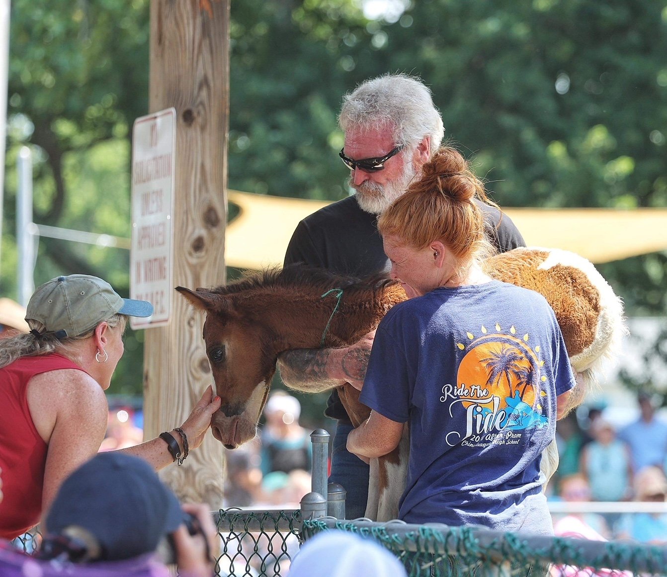 Chincoteague Pony Auction ReSale Gets Tennessee Family Their ‘Secret