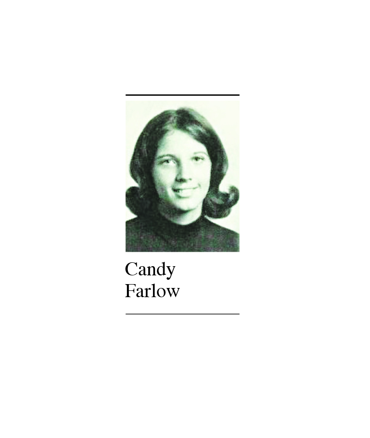 CANDY FARLOW: A Christmas filled with items for a new home