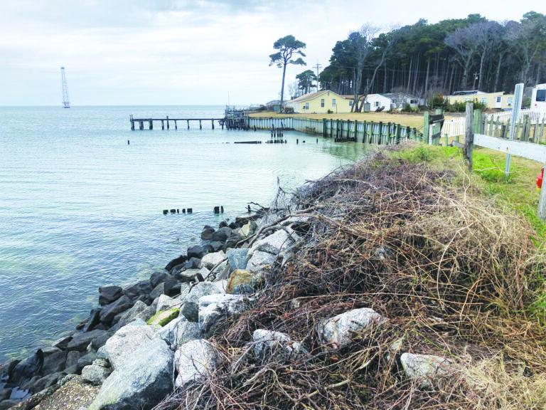 Man drives over Silver Beach embankment; last seen swimming in Chesapeake Bay