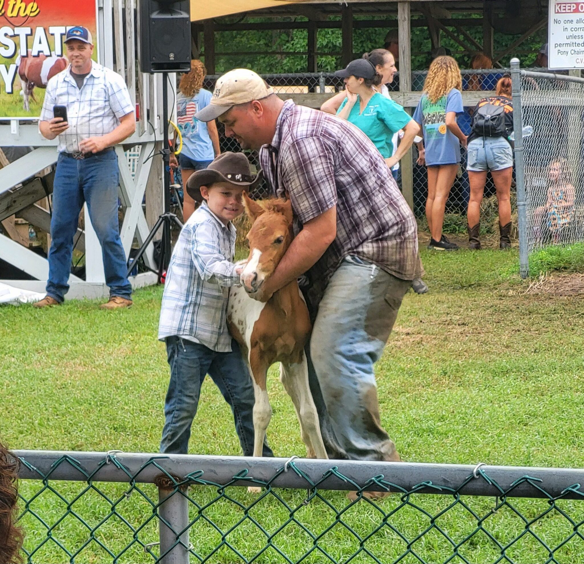 Bidding sets record at 99th Chincoteague Pony Auction - Eastern Shore Post