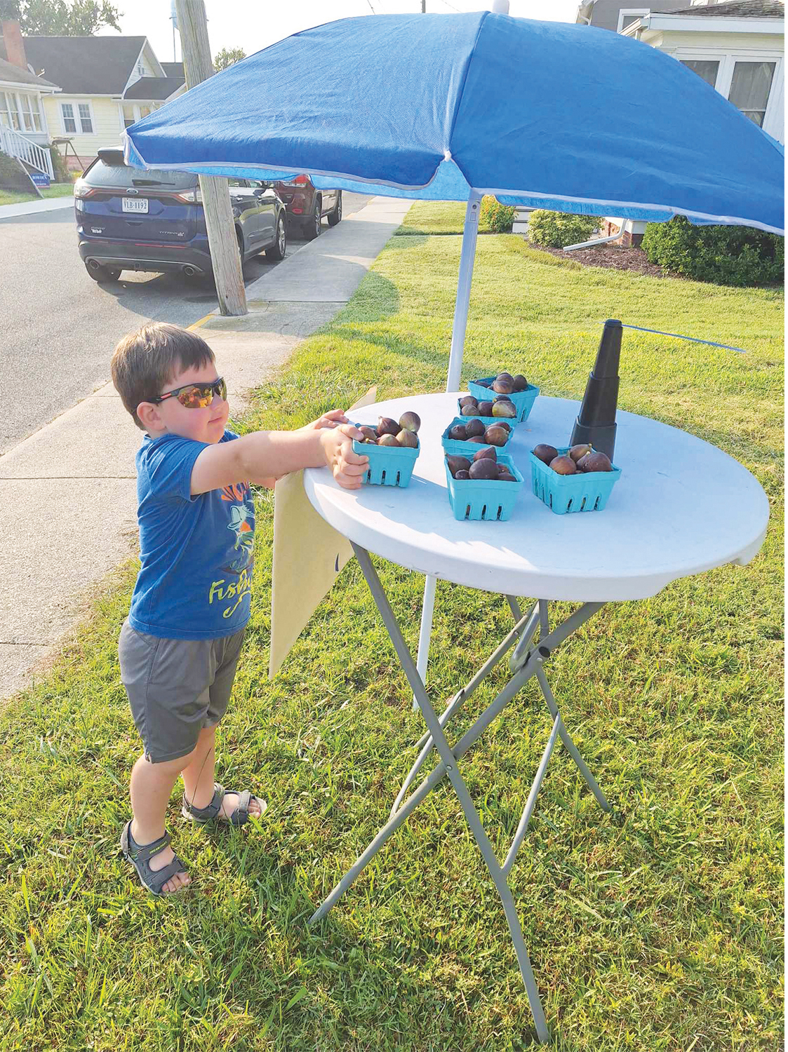 4-year-old Fig King brings something sweet to Chincoteague