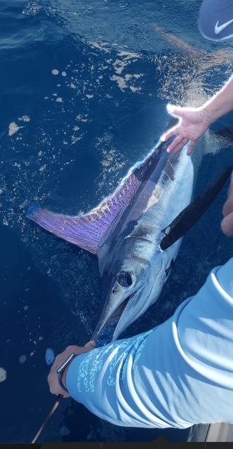 Cooler waters spur angling action