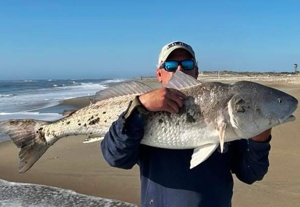 Surf anglers catching big red drum