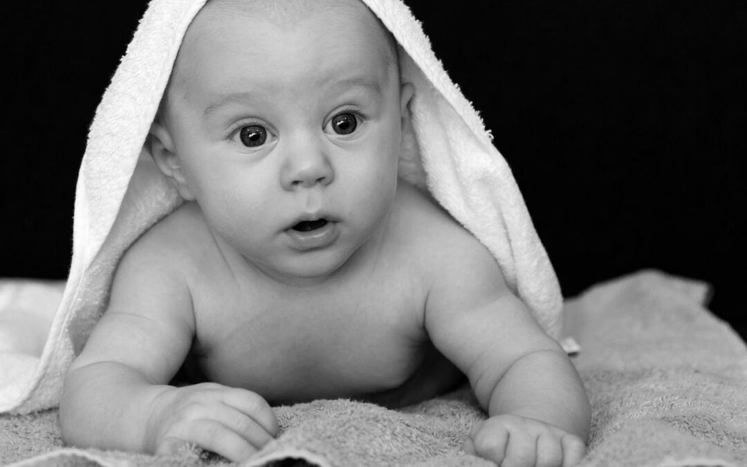 Census shows Northampton hemorrhaged young families and children from 2020-2025
