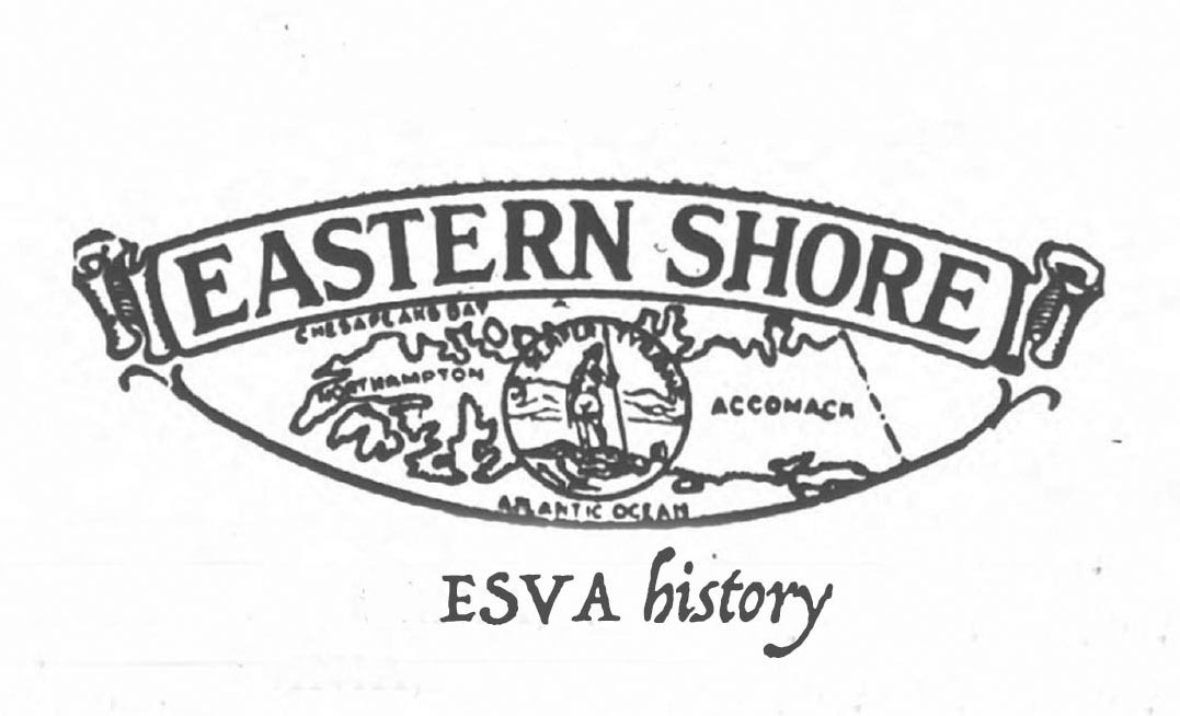 WeeklyEShistory