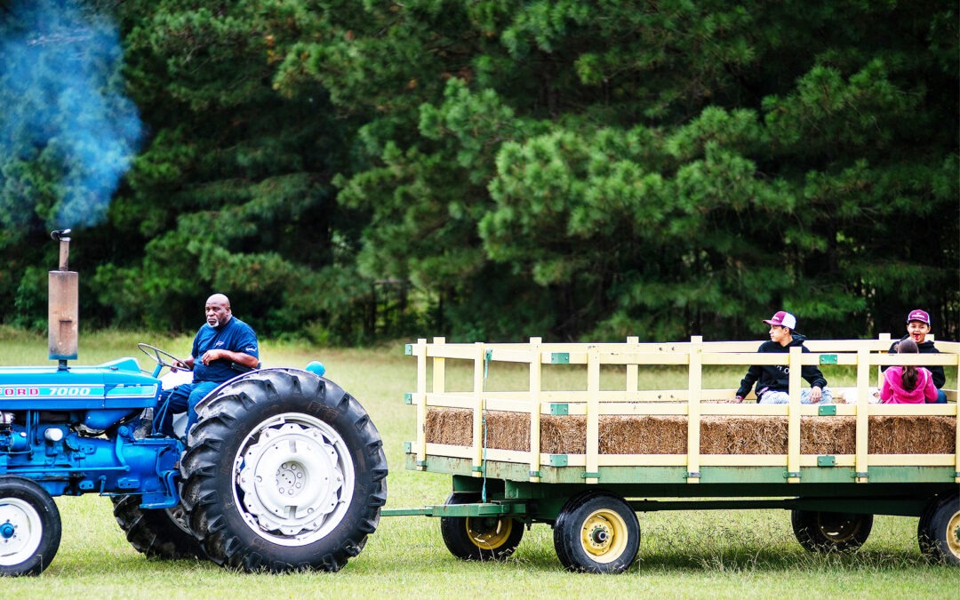 Winners announced from Eastern Shore Agricultural Fair